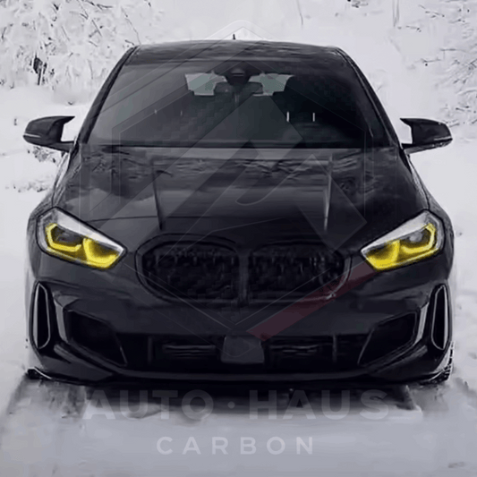 BMW 1 & 2 Series F40 F44 DRL Modules 2018-2024