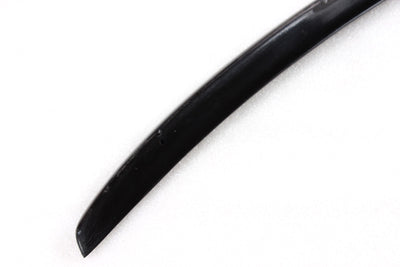 BMW 3 Series E92/M3/M Sport Carbon Fibre Spoiler